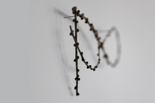 Closer (Mikrosensor) rysunek wykonany z  gałązek modrzewia